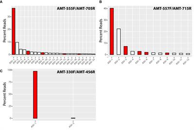 Primer design for the amplification of the ammonium transporter genes from the uncultured haptophyte algal species symbiotic with the marine nitrogen-fixing cyanobacterium UCYN-A1